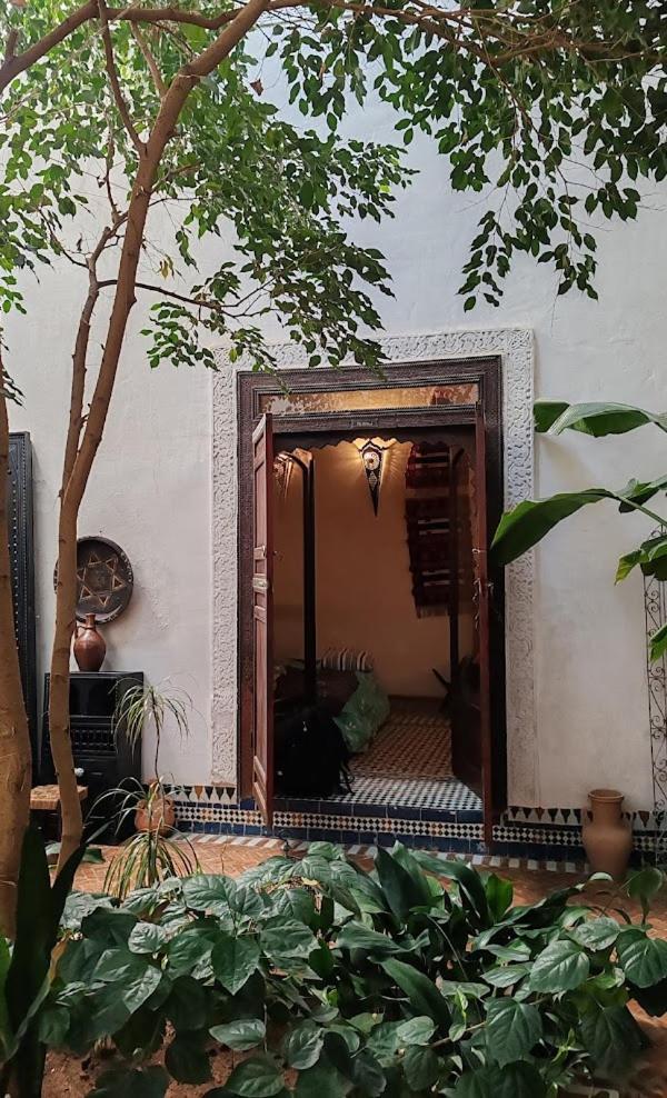 Riad Felloussia مكناز المظهر الخارجي الصورة