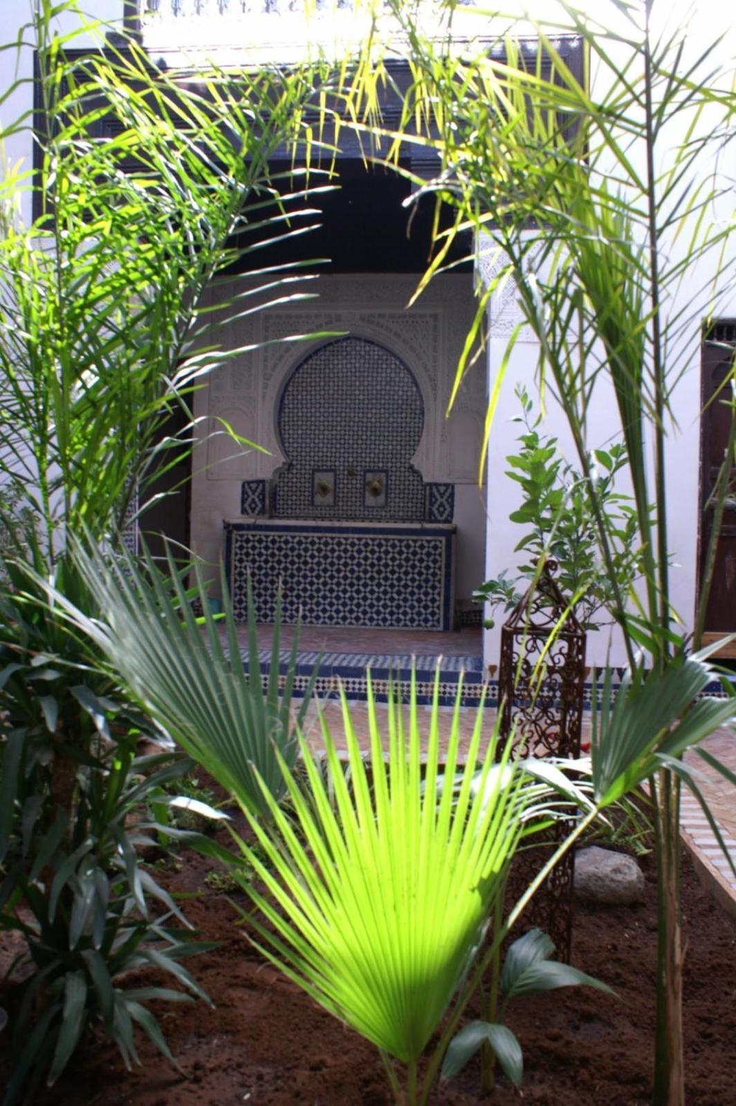 Riad Felloussia مكناز المظهر الخارجي الصورة